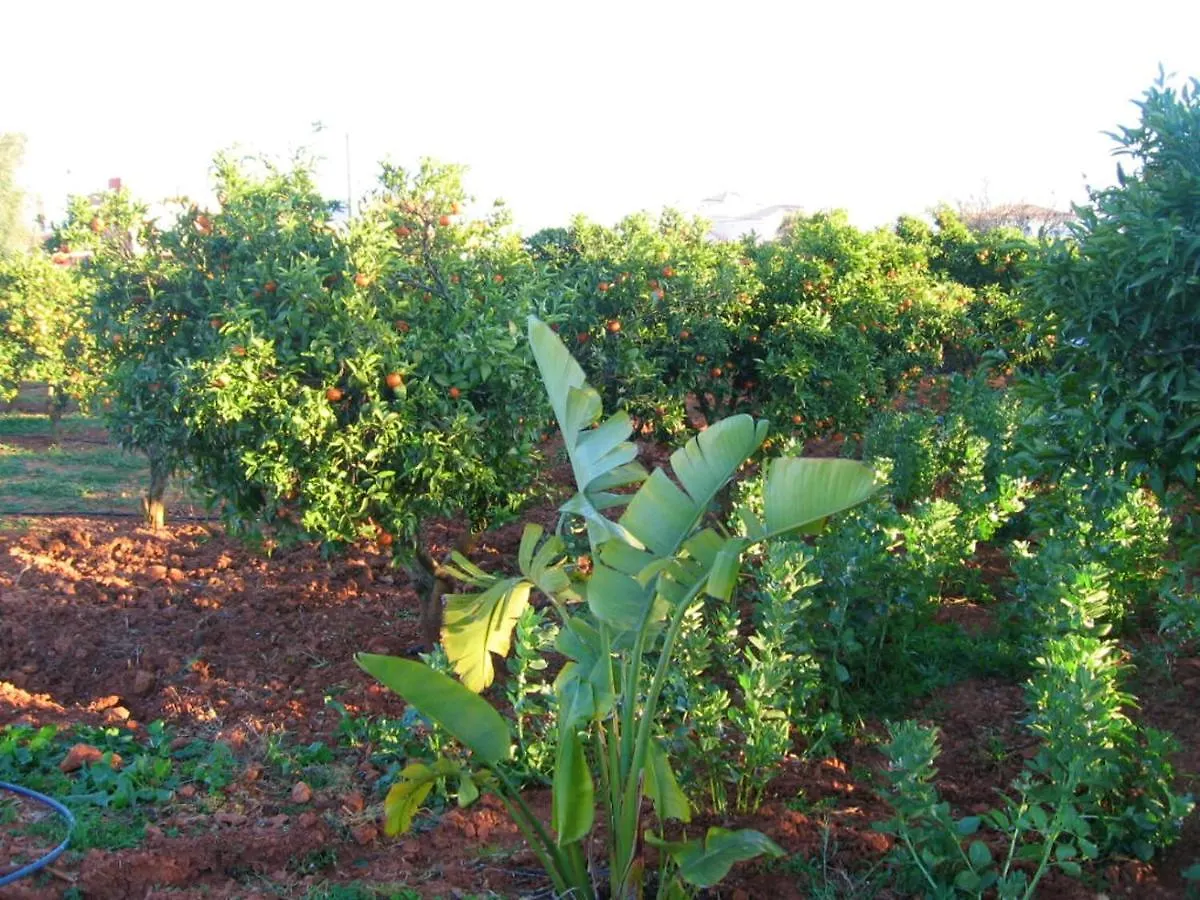 4 Bedrooms Villa With Private Pool Enclosed Garden And Wifi At Silves