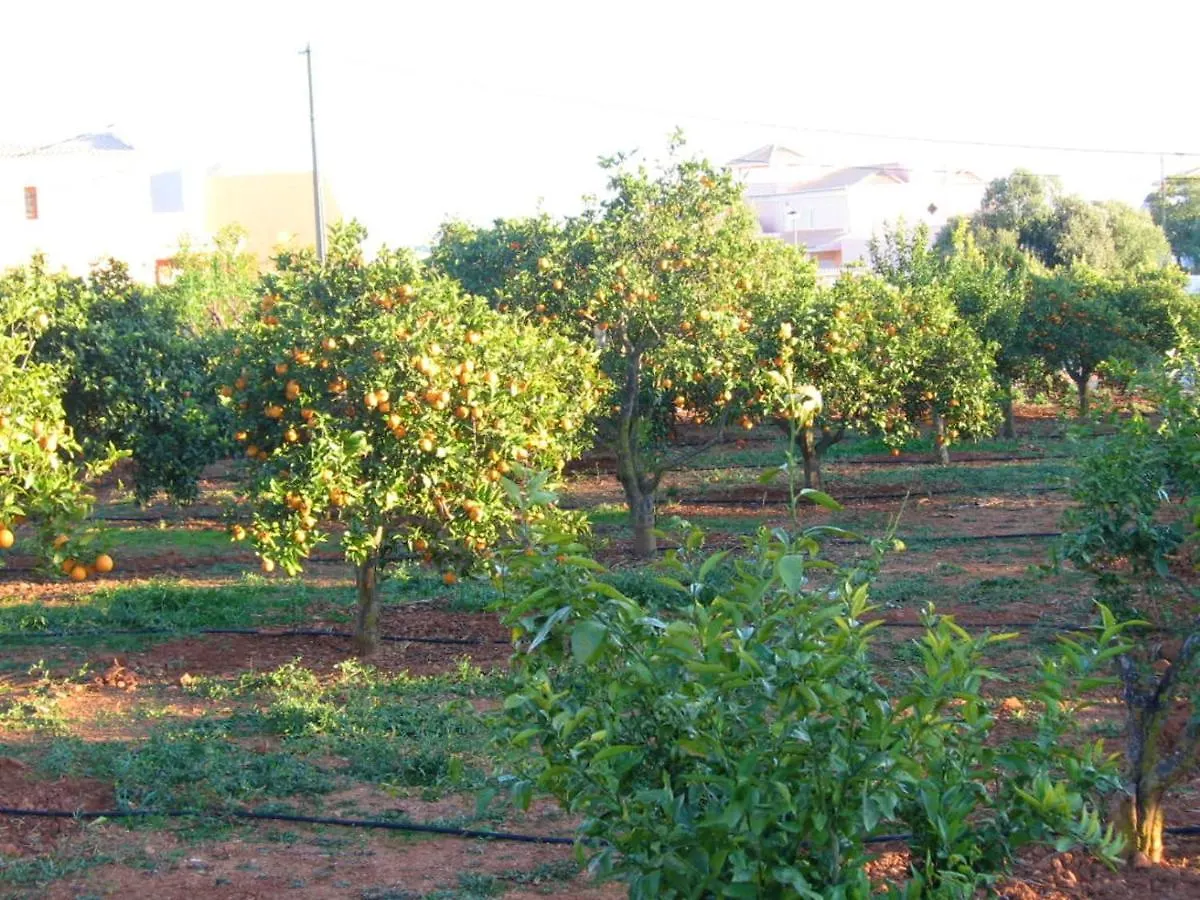 4 Bedrooms Villa With Private Pool Enclosed Garden And Wifi At Silves